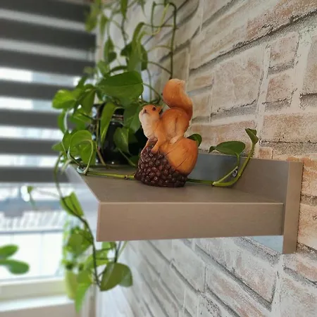 Baross Apartman Kaposvár Exterior foto